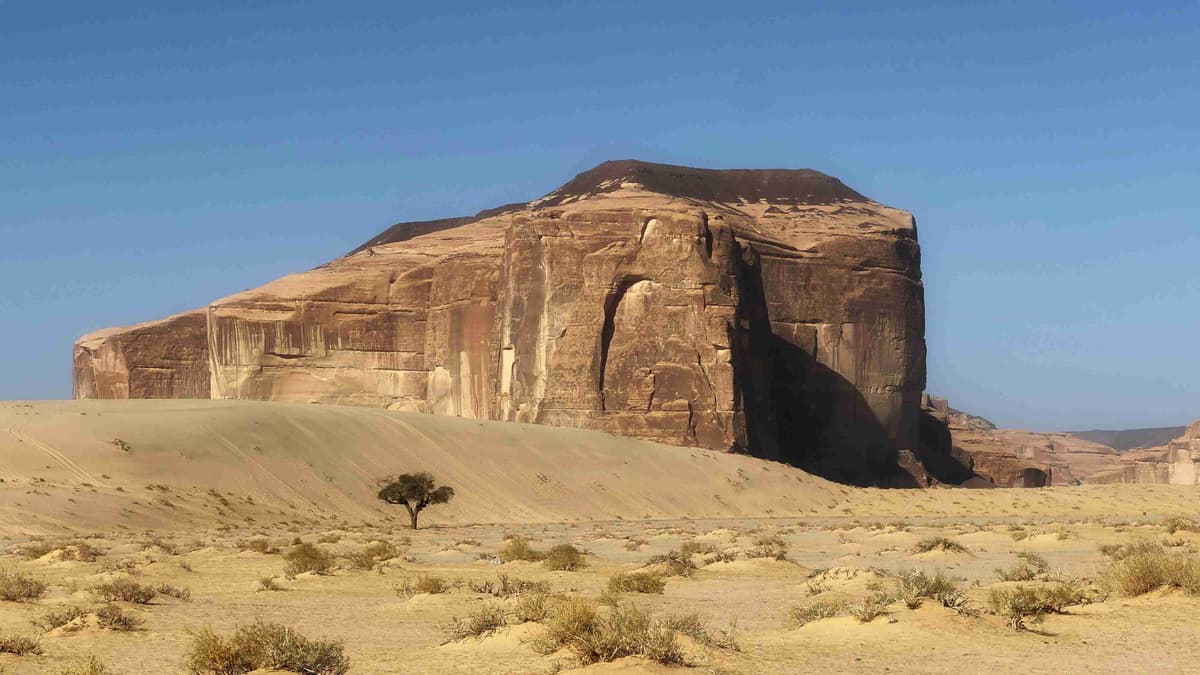 "Desert Landscape with Rocky Cliffs and Single Tree"