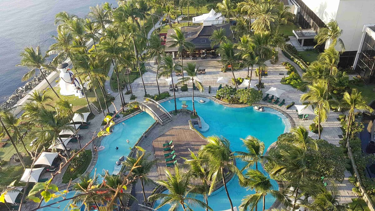 aerial-photo-of-palm-trees-around-outdoor-pool-in-beach