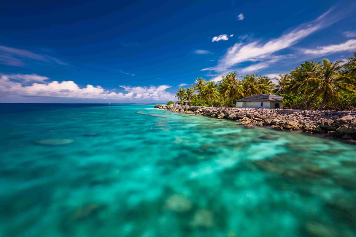 tropical-beach-in-maldives-with-palm-trees