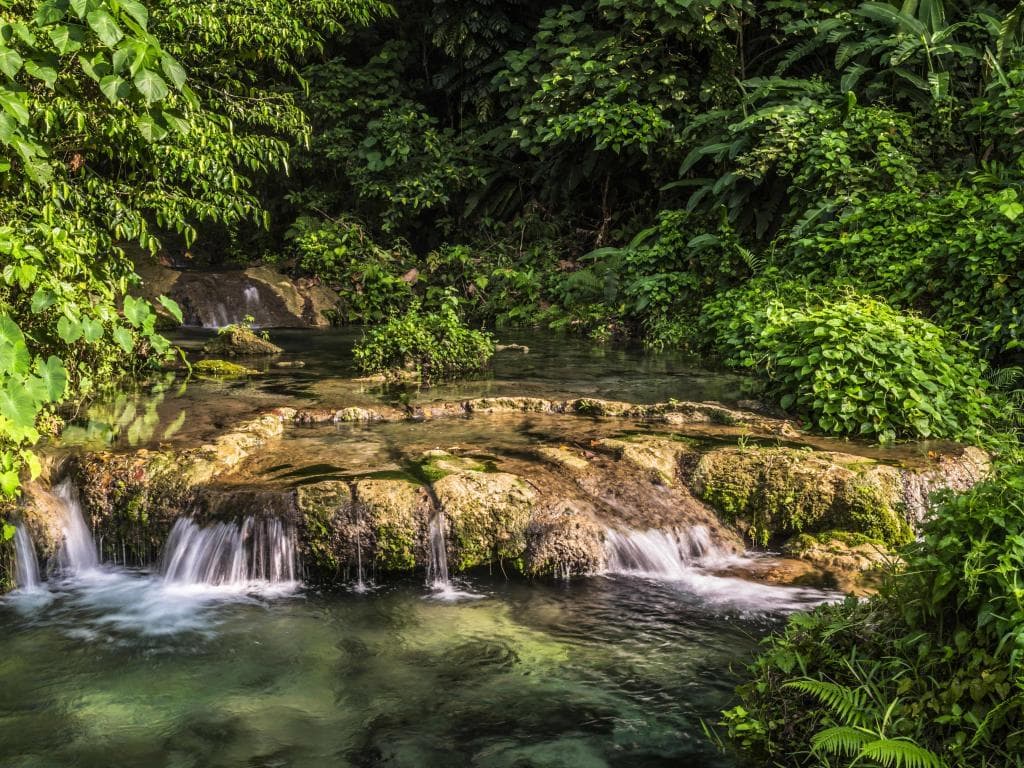 Vanuatu taustakuva