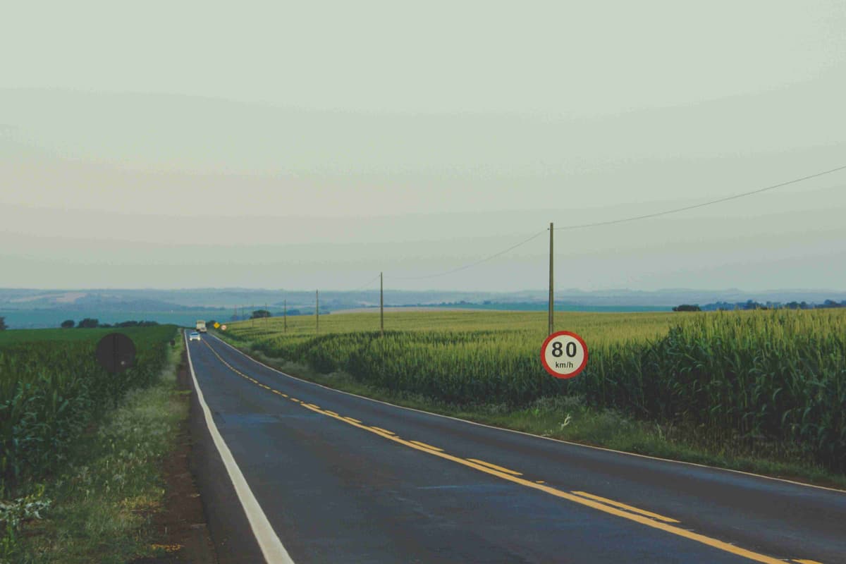 black asphalt road beside green plants