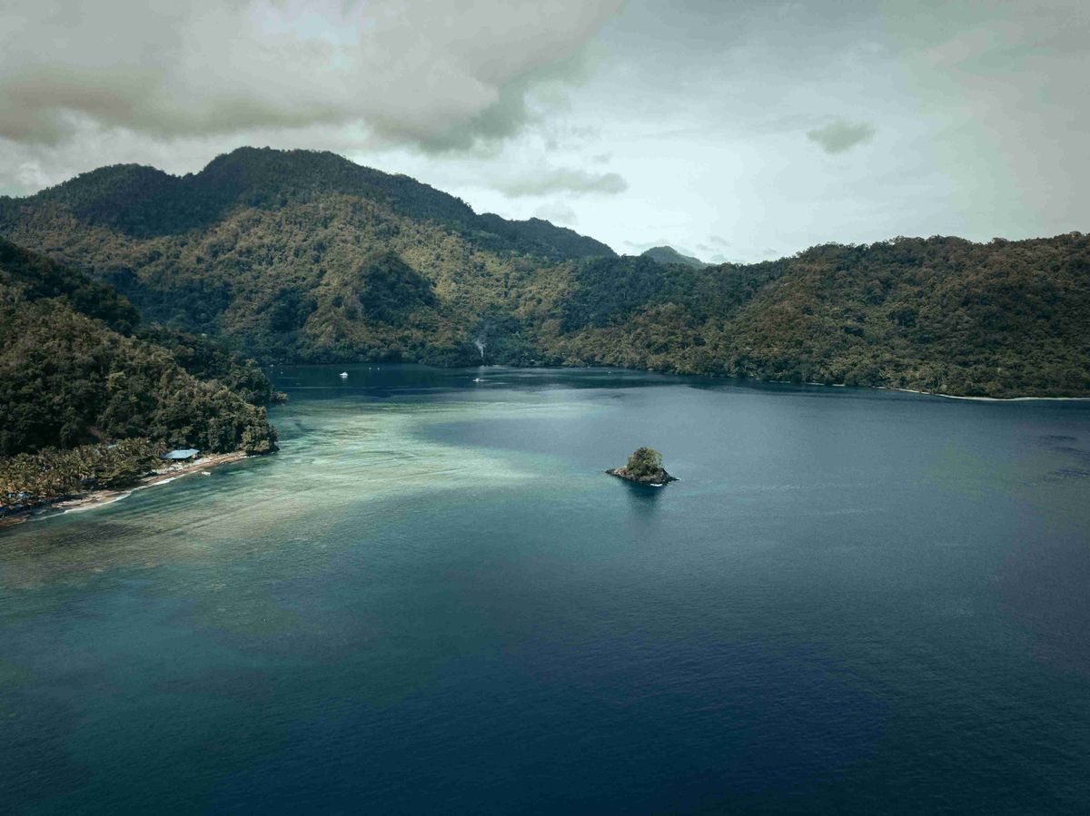 New Guinea Foto af Asso Myron