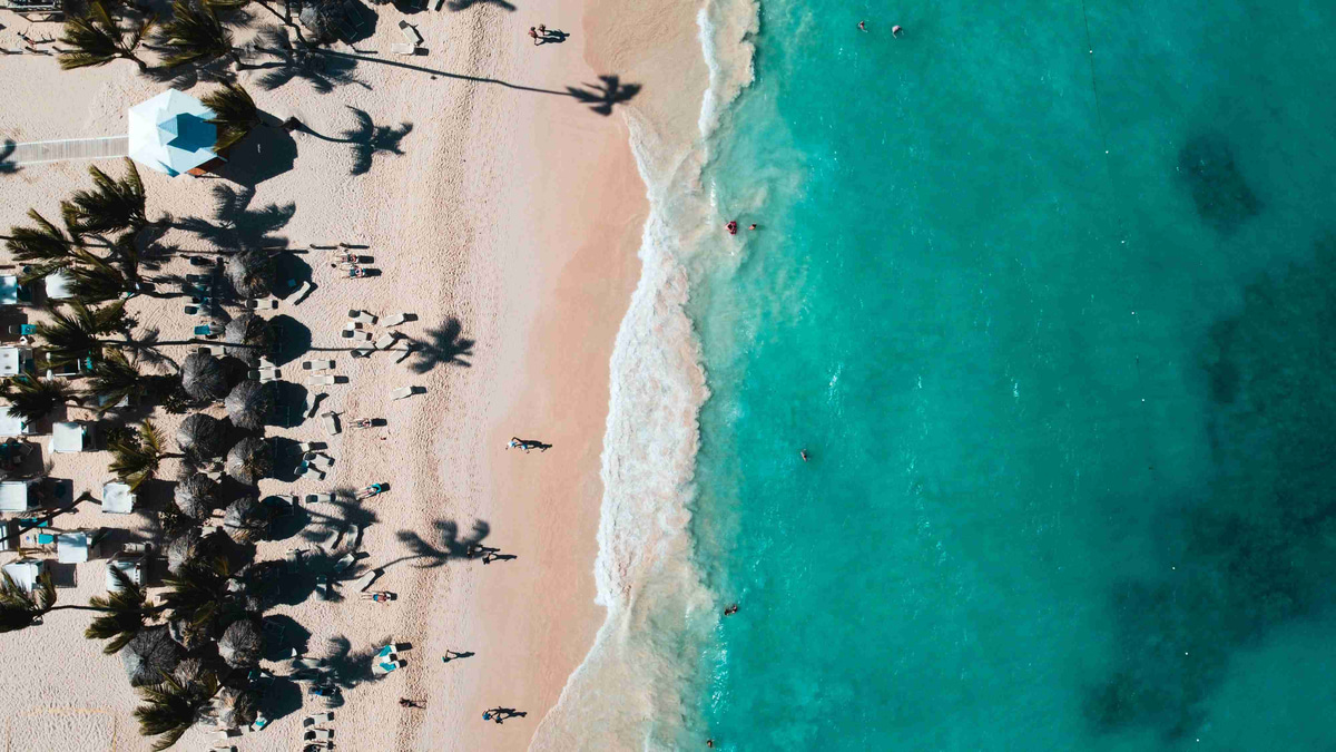 Aerial_View_of_Shadowed_Palm_Trees_on_Sunny_Beach