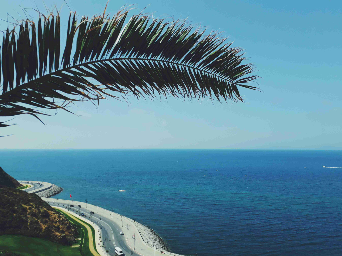 Coastal_Road_View_with_Palm_Fringes_Overlooking_the_Sea