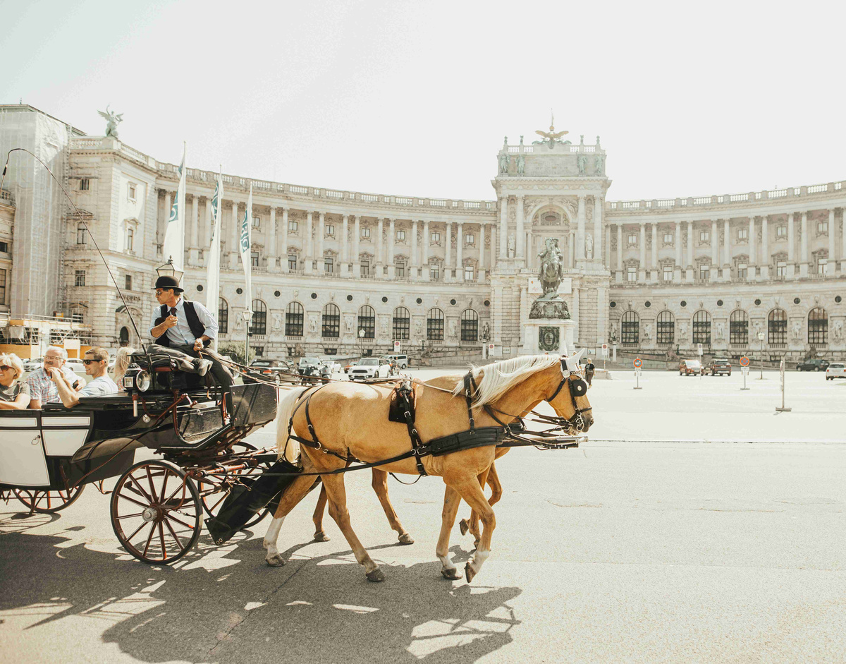 Horse-Drawn_Carriage_in_Front_of_Historic_Palace