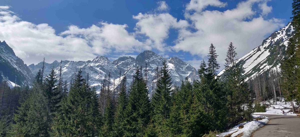 Majestic_Mountain_Range_with_Forest_Foreground