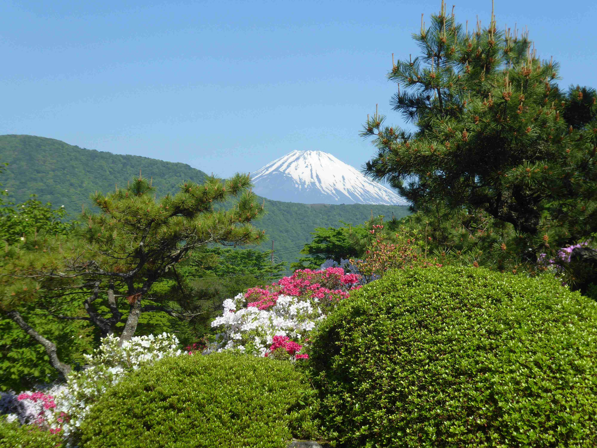 Mount_Fuji_Viewed_from_Blooming_Garden