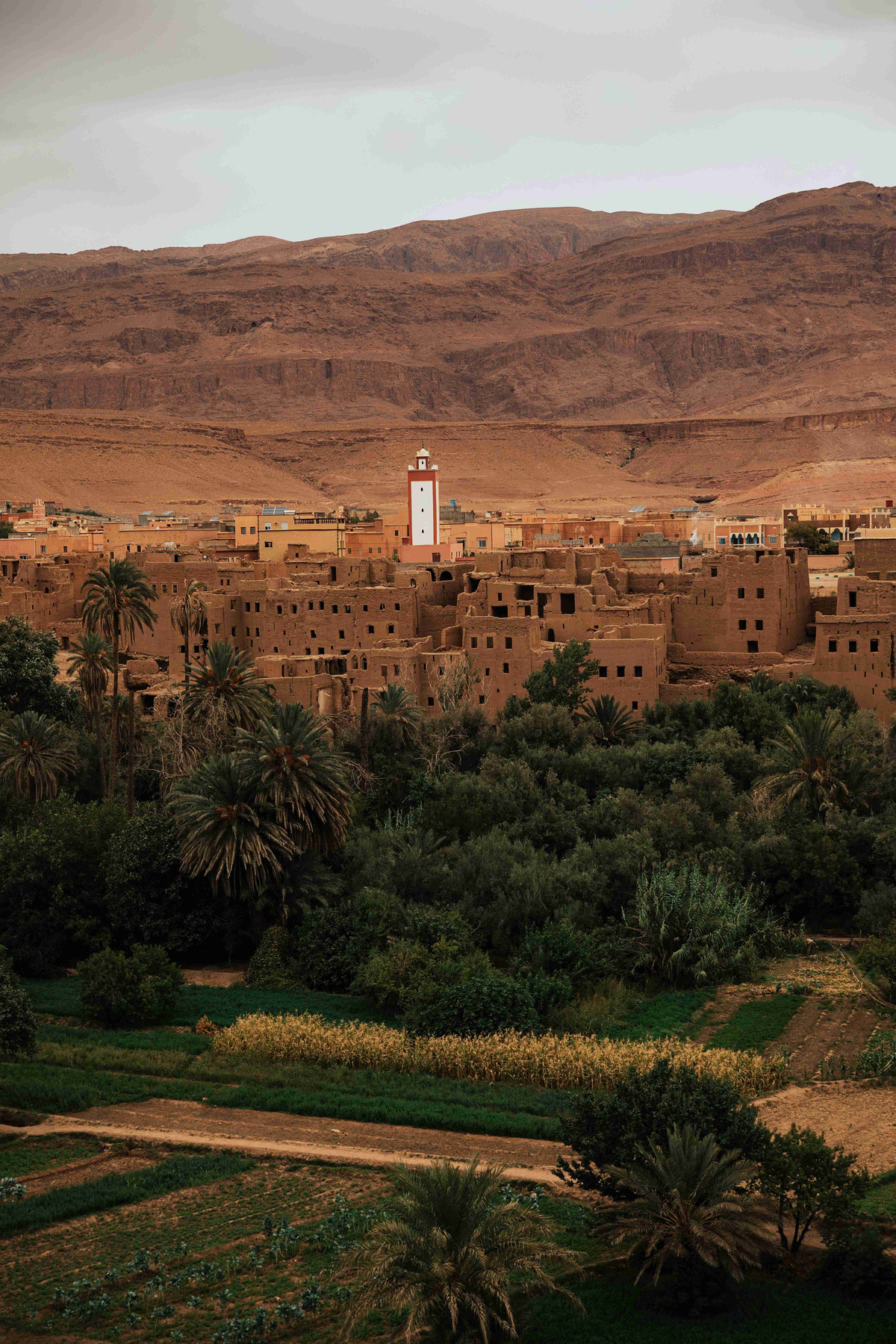 Oasis_Village_Against_Mountain_Backdrop