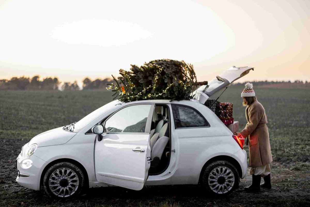 Person Loading Christmas Tree on Car