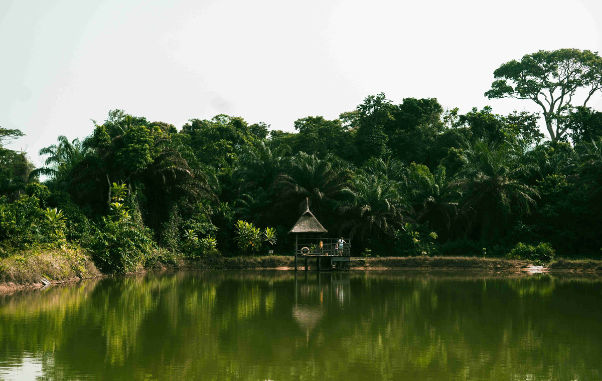 Tranquil_Lake_Hut_Surrounded_by_Tropical_Foliage