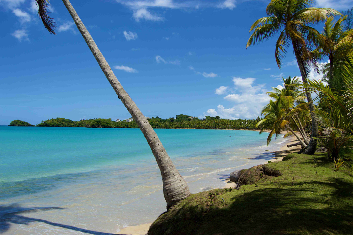 Tropical_Beach_Paradise_With_Swaying_Palm_Trees