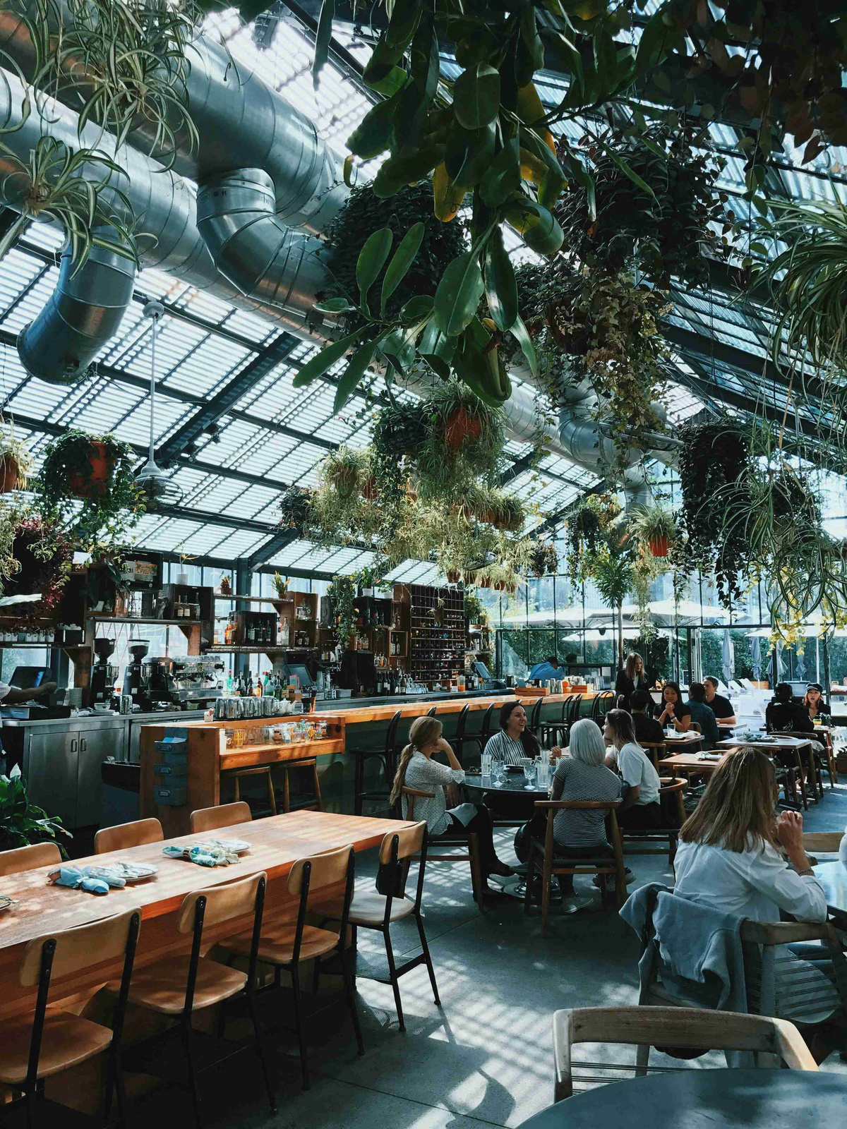 Urban_Garden_Restaurant_With_Hanging_Plants