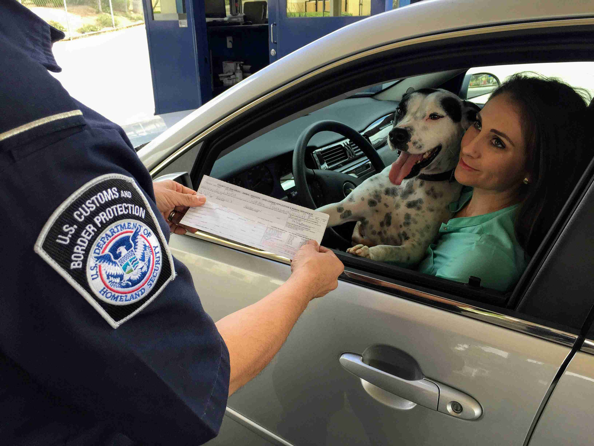 border-checkpoint-woman-with-dog-in-car