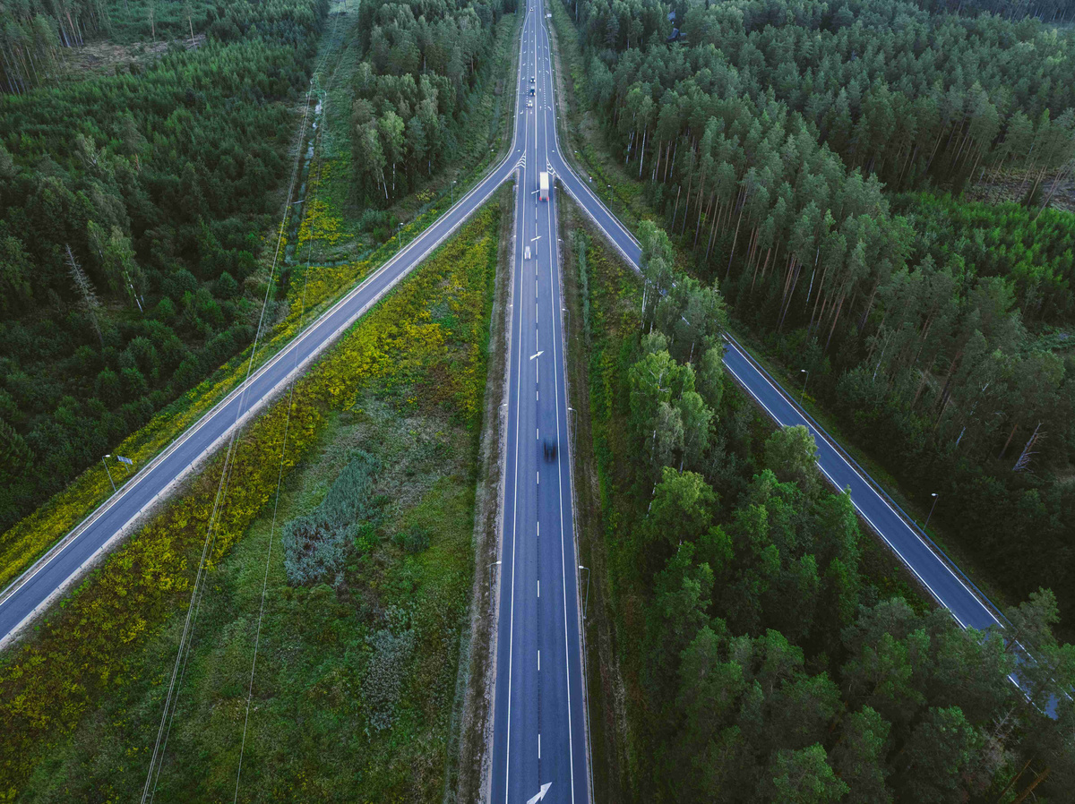 forest_highway_aerial_view