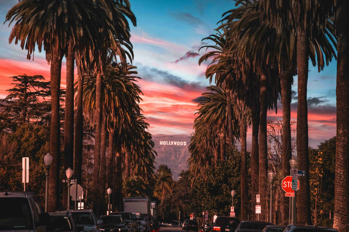 Hollywood-Sunset-Palms
