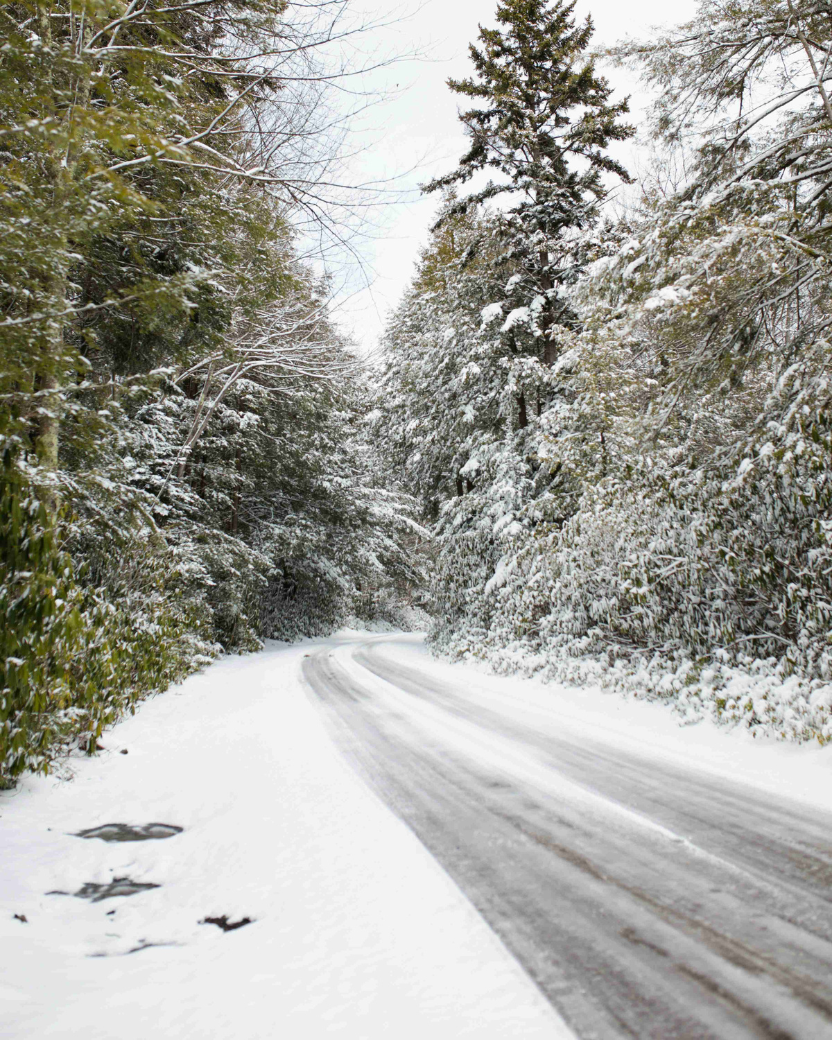 Snowy-Forest-Road