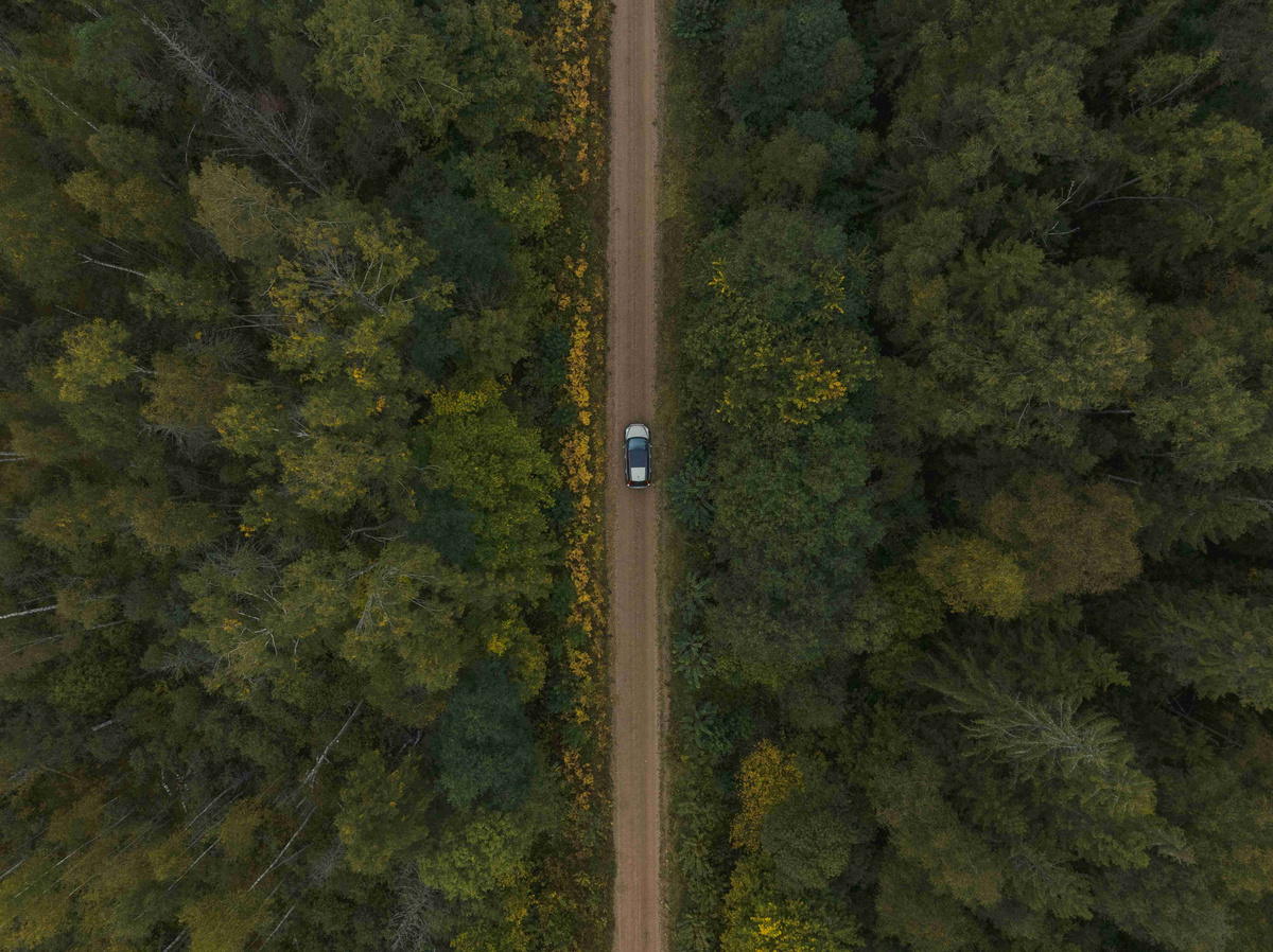 Aerial-View-Car-Dirt-Road-Forest