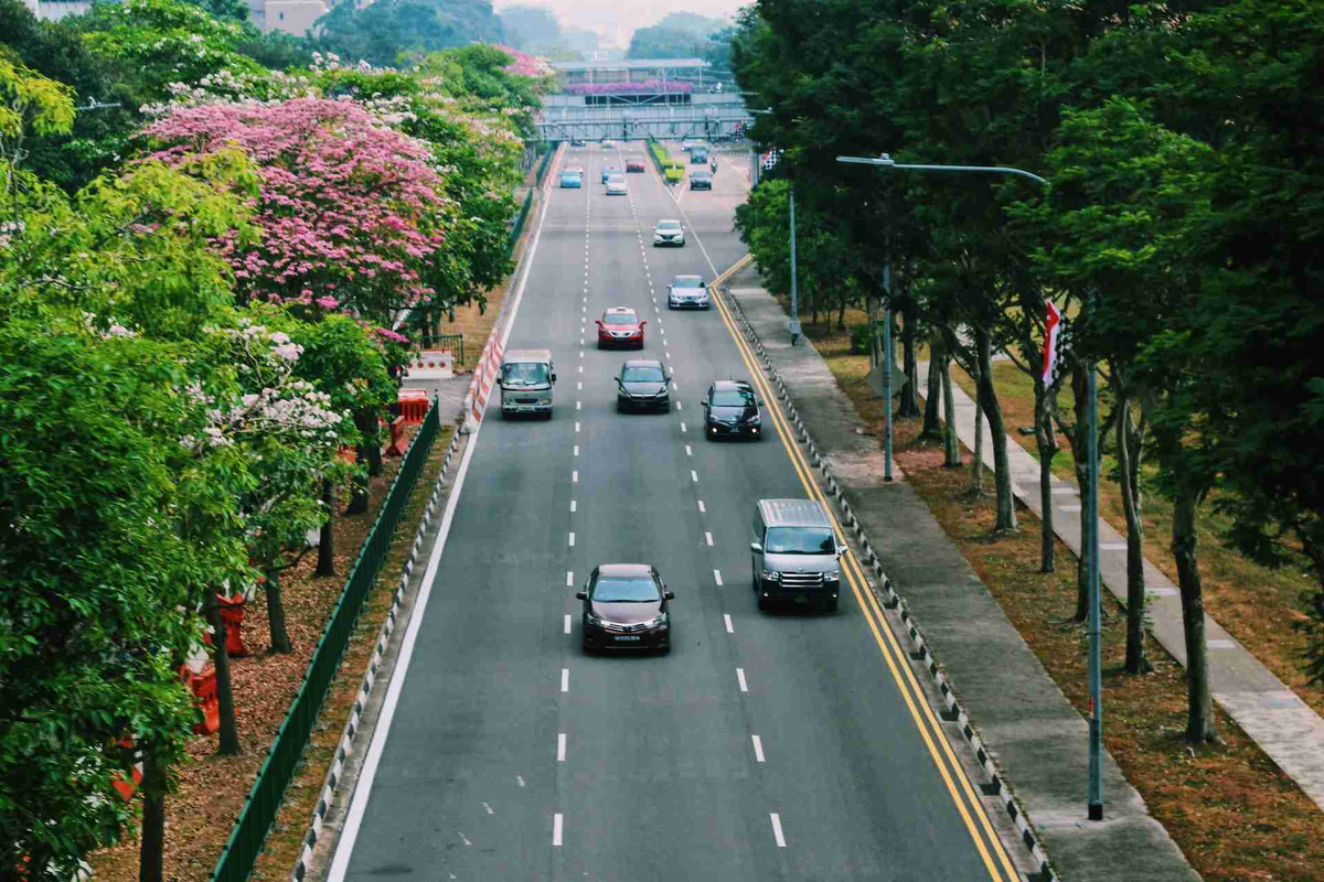 kylle-pangan-unsplash-Singapore-City-Street-with-Floral-Boulevard