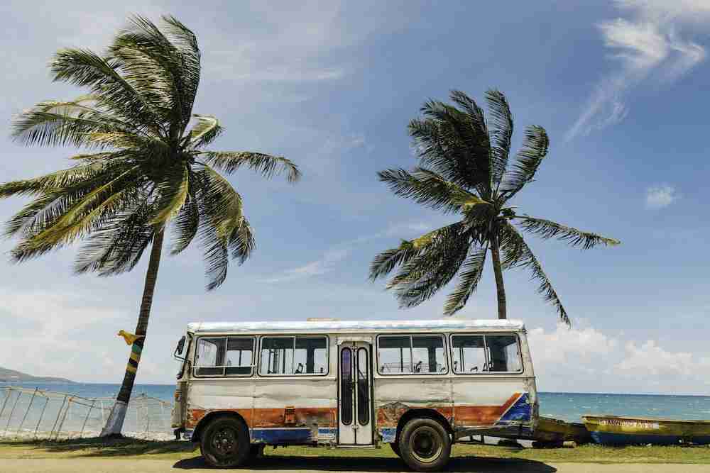 white-and-blue-bus-near-palm-tree