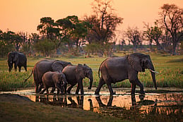 Botswana Driving Guide