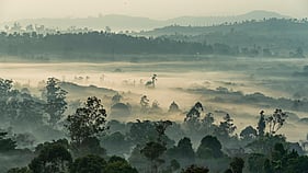 Cameroon Driving Guide