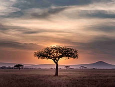 Tanzania Driving Guide