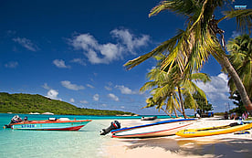 Trinidad and Tobago Driving Guide