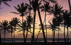 Marshall Islands Driving Guide