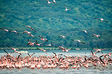 Best Places to Visit in Kenya