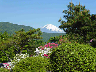 The Best Places to Visit in Japan