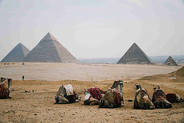 Your Comprehensive Guide to Renting a Car in Egypt