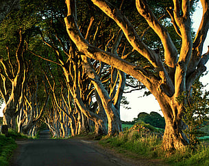 Best Things to Do in Ireland