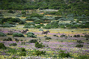 Best Places to Visit in South Africa