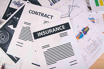 Insurance Essentials: What Coverage Indian Drivers Need When Driving Abroad