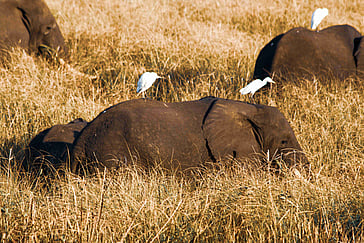 Unveiling Mozambique With the Four Best Road Trip Travel Itineraries