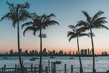 Hitting the Sunshine State: A Guide to Florida's Public Transport