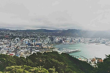 Scenic Drive from Wellington: Choosing A Kiwi Road Trip