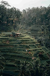 Best Things to Do in Bali