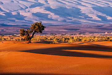 Hitting the Road: A Guide to One-Way Car Rentals in Morocco