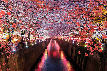 Road Trip in Japan on a Shoestring: The Best 10-Day Japanese Road Trip Itinerary