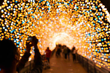 Sleigh the Drive: Survive and Thrive in Holiday Traffic