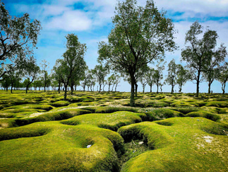 The Best Time to Visit Bangladesh