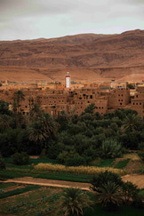 Best Hotels to Check Out in Morocco: 2024 Ultimate Guide