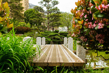 Best Places to Visit in Monaco