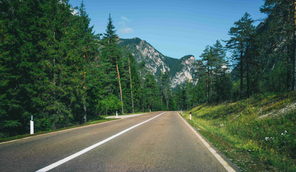 Green Wheels: Your Ultimate Guide to Eco-Friendly Road Trips