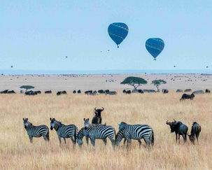 Mahali Mzuri Safari Camp in Kenya to Unveil New Look This 2025