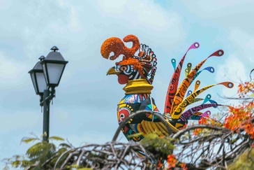 Carnival on the Road: A Practical Guide to Driving During Carnival Season