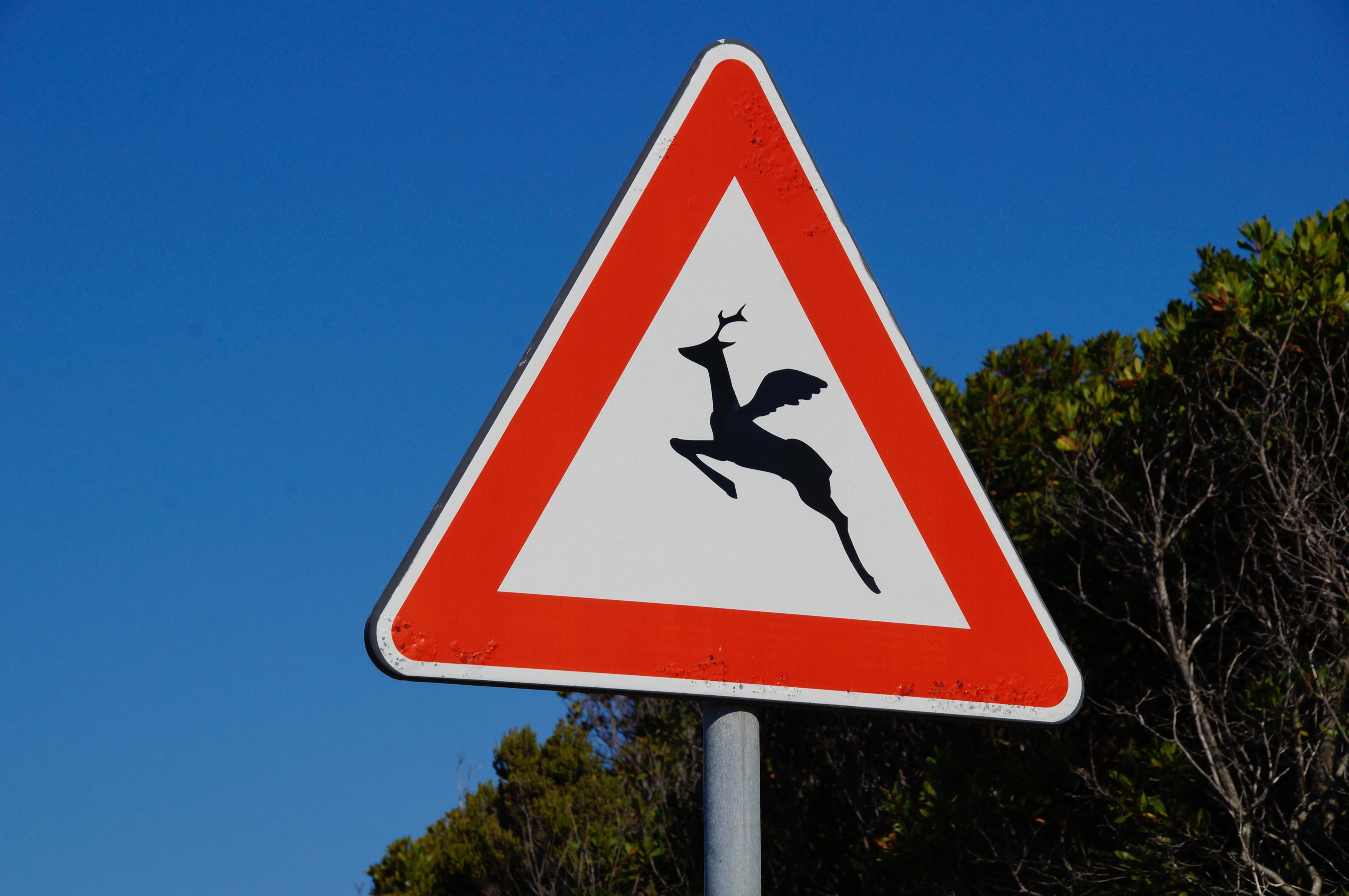 Driving in Guatemala: Travel Guide, image size:4912x3264